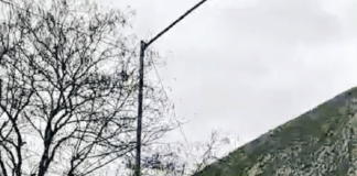 Realizan cruzada en Monterrey para la defensa del medio ambiente sano