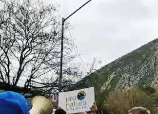 Realizan cruzada en Monterrey para la defensa del medio ambiente sano