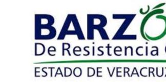 Debo no niego; pago lo justo.- Por Teresa Carbajal @terecarbajal: La Cajera