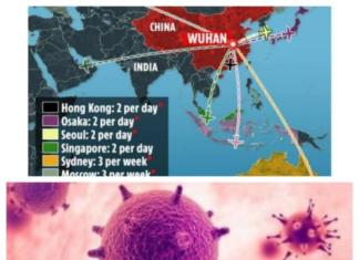 Valoran expertos mexicanos Plan de Acción para atender casos de coronavirus