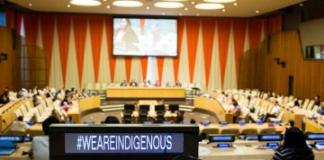 Irma Pineda, nueva voz indígena en la ONU Foro Permanente para Cuestiones Indígenas