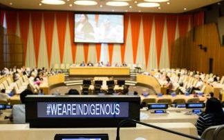 Irma Pineda, nueva voz indígena en la ONU Foro Permanente para Cuestiones Indígenas