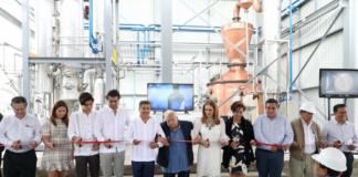 Caña veracruzana será utilizada para la producción de ron de alta calidad alcohol