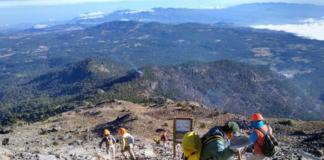 Controlan en 90% el incendio del Parque Nacional Cofre de Perote: PC Controlan incendio en Cofre de Perote