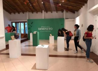 Talleres, exposiciones y recital de piano, principales actividades en el Jardín de las Esculturas: IVEC IVEC