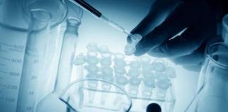 La OMS pospone a mañana su decisión sobre la gravedad del coronavirus OMS descarta riesgos por coronavirus