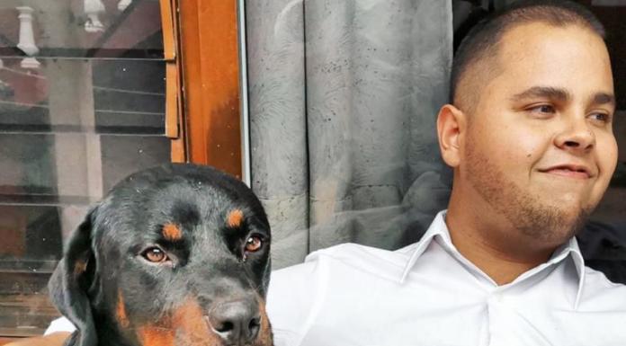 Consternación entre amigos y seguidores por el crimen de Alberto Cancino en Gtz Zamora