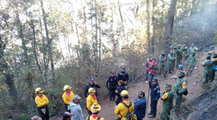 80% de control y 30% de liquidación del incendio forestal en Perote