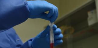 Veracruz se suma al modelo de protocolo de mitigación contra el nuevo coronavirus