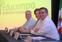 Cooperativas veracruzanas de maíz comercializan sus productos