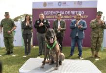 Con honores, retira Fuerza Civil al agente canino “Gadafi”, tras ocho años de servicio