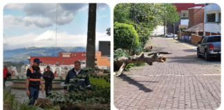 Saldo blanco en Xalapa tras Frente Frío 41