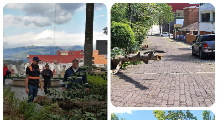 Saldo blanco en Xalapa tras Frente Frío 41