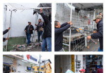 Aplican Programa de Movilidad en el centro de la ciudad