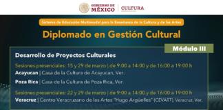 Impartirá IVEC tercer módulo del Diplomado en Gestión Cultural, en Poza Rica, Veracruz y Acayucan