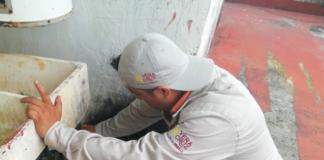 Coordina ayuntamiento de Minatitlán acciones permanentes contra el Dengue