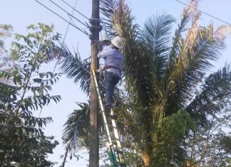 Apoyan campesinos de Minatitlán acciones del Gobierno Municipal