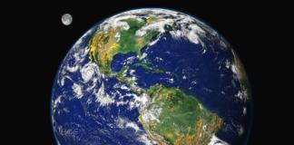 Animalia.- Por Maricarmen García Elías: Un respiro para la tierra