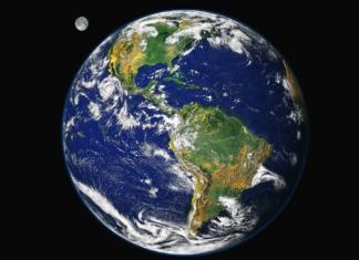 Animalia.- Por Maricarmen García Elías: Un respiro para la tierra