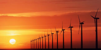 Cofece interpone una controversia constitucional contra política de Sener que limita a renovables energy