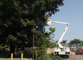 Continuas las tareas de embellecimiento urbano en Minatitlán Embellecimiento