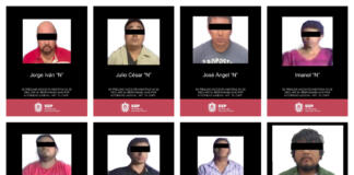 Seguridad Pública decomisa posible droga y armas de fuego en Medellín, Veracruz y Martínez