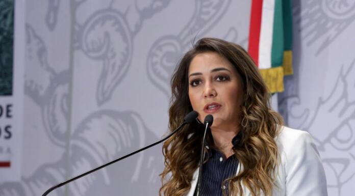 Recortes presupuestales ponen en mayor riesgo a las mujeres: Anilú Ingram Anilú Ingram, diputada federal priista.