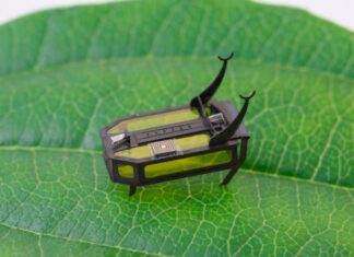 Científicos crean un robot del tamaño de un escarabajo movido por metanol