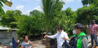 Implementa Salud brigadas de atención COVID-19 en Veracruz, Boca del Río y La Antigua