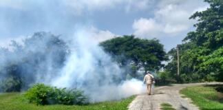 Fumigaciones y descacharrización, entre las acciones de Salud contra el dengue en municipios