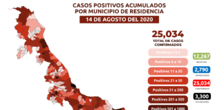 Estrategia Estatal contra el coronavirus 14/08/2020