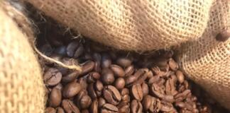 Integrará Veracruz alianza estratégica para impulsar agroindustria del café
