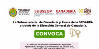Convoca Gobierno Estatal a profesionales del área biológica a unirse como oficiales de sanidad animal