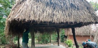 «Piso firme» se reactiva en zonas rurales del municipio de Cosoleacaque