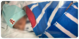 Reciben alta médica gemelos de Veracruz, luego de 35 días hospitalizados