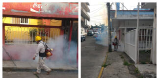 Continúan fumigaciones contra Dengue en Minatitlán