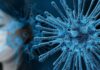 23.7 millones de casos de coronavirus COVID-19 en el mundo: OMS