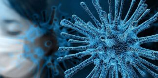 23.7 millones de casos de coronavirus COVID-19 en el mundo: OMS