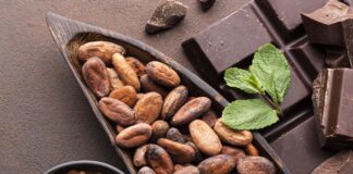 Impulsa SEDARPA rescate y fortalecimiento del cultivo de cacao en Veracruz