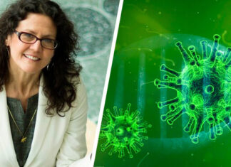 Mónica Olvera de la Cruz , la mexicana que descubrió cómo bloquear al covid-19