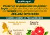 Veracruz, primer productor nacional de toronja