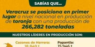 Veracruz, primer productor nacional de toronja