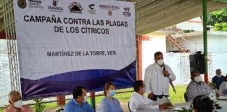 Gobierno de Veracruz y SENASICA combaten langosta centroamericana en Huasteca