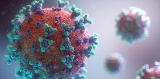OMS advierte que la pandemia del coronavirus será “muy larga”