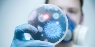 La física cuántica colabora en la lucha contra las infecciones y el cáncer