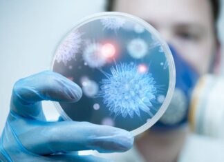 La física cuántica colabora en la lucha contra las infecciones y el cáncer