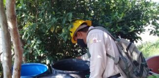 Acciones de combate al dengue benefician a familias de la zona norte