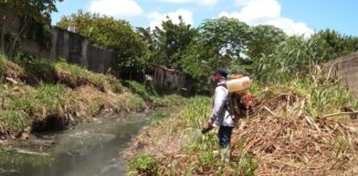 Mantiene Ayuntamiento de Minatitlán limpieza continua de arroyos