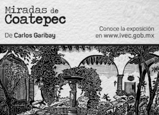 Continúan exposiciones virtuales en la plataforma digital del IVEC