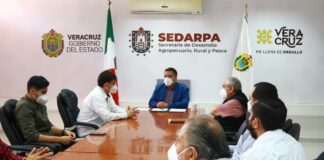 Firman SEDARPA y Agroclúster de Oaxaca convenio para fomentar el café veracruzano